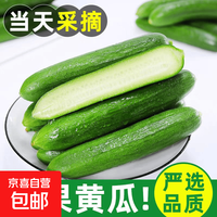 寿光 水果黄瓜带箱2斤  净重 1.8斤