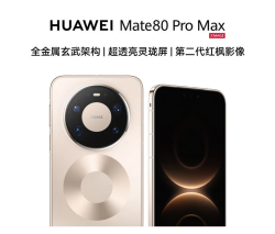 华为 Mate 80 Pro Max 手机 16GB+512GB 极昼金