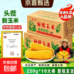 京喜 当季新货东北黄甜糯玉米真空包装低脂 头茬黄玉米4棒 200g起/棒