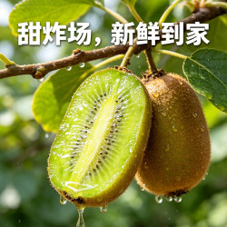 京觅 陕西翠香猕猴桃 单果80g+ 20粒装