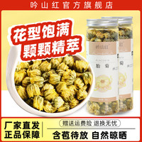 吟山红 超级省活动桐乡胎菊花茶泡水花草茶凉茶罐装 胎菊30g*2罐