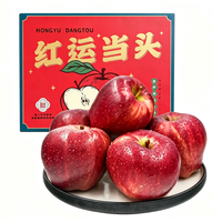 PETMERENOR 甘肃天水 花牛苹果 4.5斤装 单果70-80mm