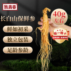 致青春 长白山人参约45g 大枝保鲜参泡酒煲汤药材料 送长辈亲戚滋补礼品