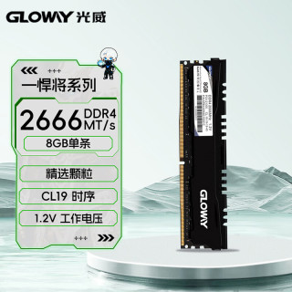 光威 悍将系列 DDR4 2666MHz 台式机内存 马甲条 黑色 8GB