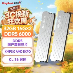 金百达 银爵 DDR5 6000MHz 台式机内存 马甲条 32GB 16GBx2 CL36