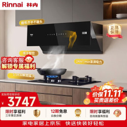 林内 烟灶套装 抽油烟机燃气灶 侧吸式家用自清洁5.0KW大火力 10JD+07M