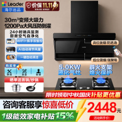 海尔 新款抽油烟机家用30立方变频大吸力顶侧双吸油烟机燃气灶具套 30立方烟机+Q2BE53灶