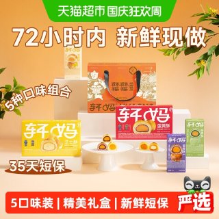 宅家食光：轩妈 家短保蛋黄酥糕点月饼中秋礼盒990g多口味源头直发