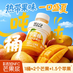 轻上 100%NFC复合果汁 芒果汁220ml*10瓶