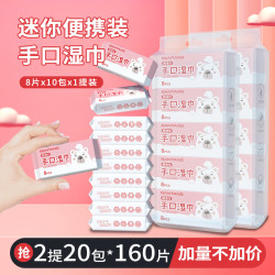 泛柔 20包迷你湿纸巾一次性亲肤棉柔手口可用婴幼儿学生随身装FG