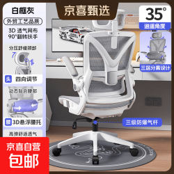 畅东 护腰人体工学椅 镂空款三级气杆 带头枕 翻转扶手 120-155度(含) 联动扶手