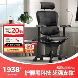 Ergonor 金豪B 2代 人体工学电脑椅 黑色 美国网款