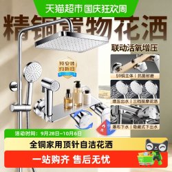 箭牌 淋浴花洒套装全铜家用自洁增压沐浴喷头卫生间浴0