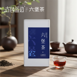 高山六堡茶叶 广西黑茶陈香型老茶自饮送礼收藏熟茶