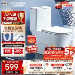 箭牌 AE1021M 连体式马桶 305mm坑距