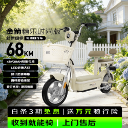金箭 超长续航 电动自行车