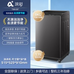 小天鹅 纯净系列 TB100V26DT 变频波轮洗衣机 10kg 金属钛