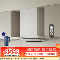 FUJIOH 新品日本原装进口日系白色大吸力抽油烟机挥手控制