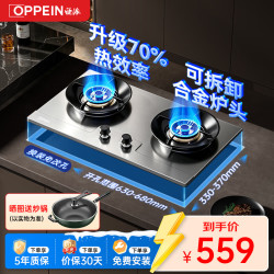 欧派 燃气灶天然气煤气灶70%热效率液化气猛火灶智能定时双灶嵌入式台式两用灶具不锈钢