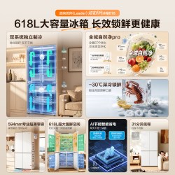 统帅 LTD-618WDY9U1 十字对开零嵌冰箱 木槿灰 618L