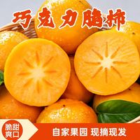 丰阳巧克力脆柿