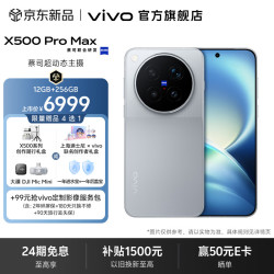 vivo X500 Pro Max 蔡司2亿APO超级长焦 大地回声 16GB+512GB 手机