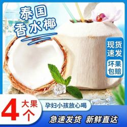 椰青 泰国香水椰新鲜大果孕妇小孩放心喝热带风情椰子水解渴佳品