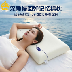 泰嗨 深睡枕头颈椎枕睡眠慢回弹颈椎专用枕头记忆棉枕护颈枕芯酒店宿舍 护颈记忆棉枕 一对装