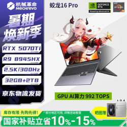 机械革命 蛟龙16Pro 16英寸游戏本 灰色（R9-8945HX、RTX5070Ti、2.5K 300Hz、32G、2T SSD）