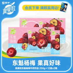 真果粒 蒙牛牛奶饮品东魁杨梅味含乳饮料康美苗条装250g*12包*2箱