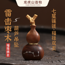 龙虎山 雷击枣木七星镶银葫芦项链