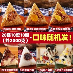 红船 嘉兴鲜肉粽子肉粽新鲜粽叶手工端午团购批发礼盒散装特产