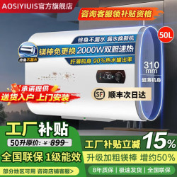 AOSIYIUIS 史密思热水器电热水器家用储水式扁桶双胆速热节能3200W