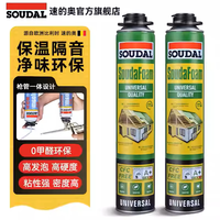 速的奥 通用型发泡胶填缝剂 无甲醛 750ml（送工具）
