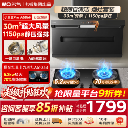名气 老板出品30立方自清洗免拆洗顶侧双吸家用大吸力A586H烟灶炉灶套装