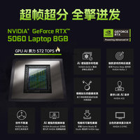 七彩虹 将星X15 i5-12450H RTX4060 16GB+1TB 游戏本