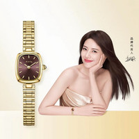飞亚达 DL21012.GKG.B 复古石英女表 深棕色款 礼盒装