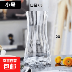 特大号轻奢创意简约玻璃花瓶透明水养鲜花北欧ins风客厅插花摆件 透明太阳花