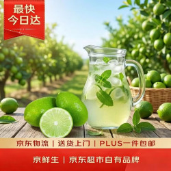 京鲜生 海南香水柠檬 500g（约6-8果）