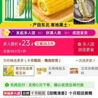 十月稻田玉米