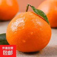 京配 爱媛38果冻橙  带箱5斤装中果  果径70mm+ JDL-京东快递、更好更快