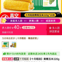 十月稻田黄玉米多人团