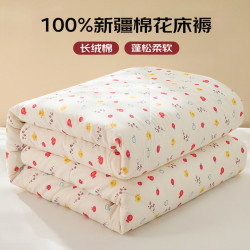 梦诗娜 100%新疆棉花被纯棉被子春秋被棉被单人被芯3斤150x200cm平安喜乐