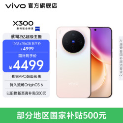 vivo X300 5G 手机 幸运彩 12GB 512GB