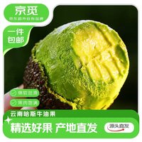 京觅 云南哈斯牛油果4枚装单果100-130g源头直发包邮