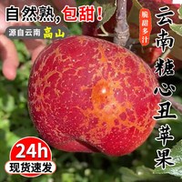 鲜级佳 云南昭通冰糖心丑苹果野生苹果脆甜水果整箱年货 5斤手选装净重4.5斤