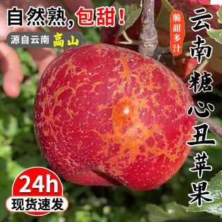 鲜级佳 云南昭通冰糖心丑苹果野生苹果脆甜水果整箱年货 5斤手选装净重4.5斤