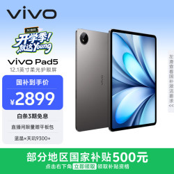 vivo Pad5 柔光版 12.1英寸高亮护眼屏 12GB+256GB 灰色 平板电脑