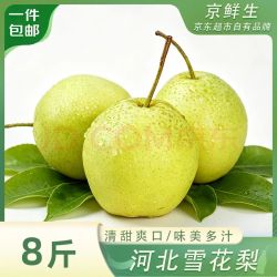 京鲜生 河北雪花梨 净重8斤 单果250g+ 生鲜水果 源头直发 包邮
