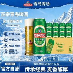 青岛啤酒 原麦汁浓度11°P  大罐加量罐装 550mL 12罐